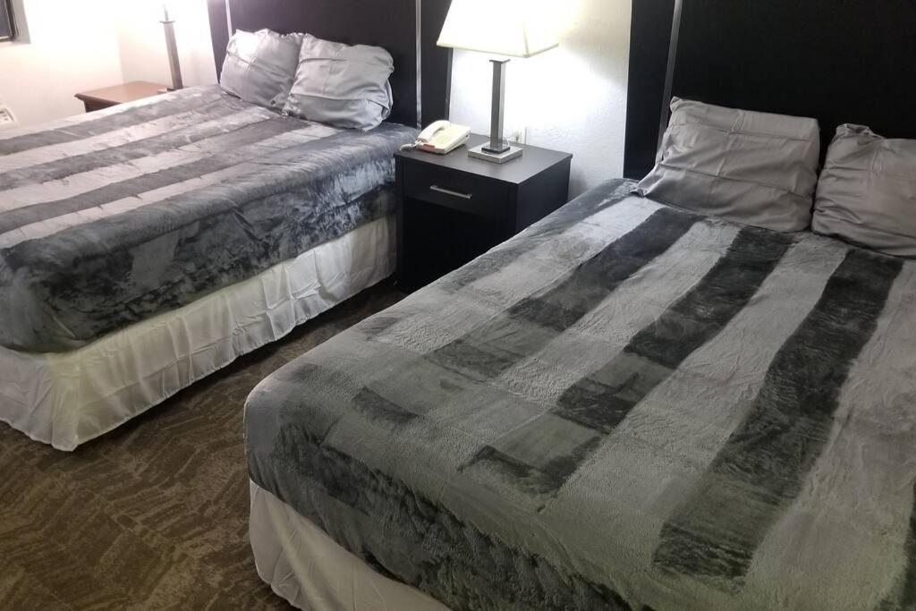 2 Queen Beds 124 Apartment