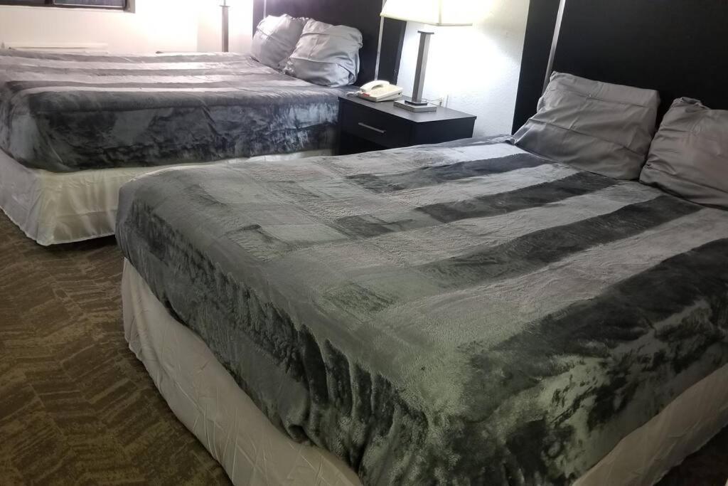 2 Queen Beds 124 Apartamento